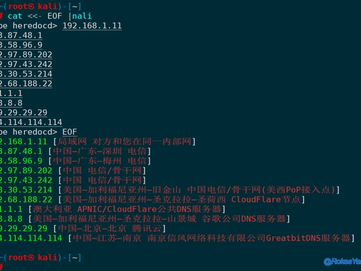 离线查询 IP 地理信息与 CDN 服务提供商，支持 IPv4/IPv6、管道处理、交互式查询、多数据库切换与彩色输出 | nali | v0.8.1