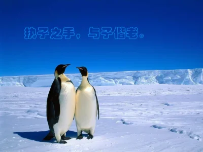 萌新资源库 - 生气的萌新-免费软件下载