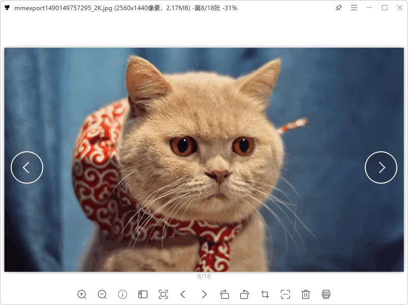 免费软件下载